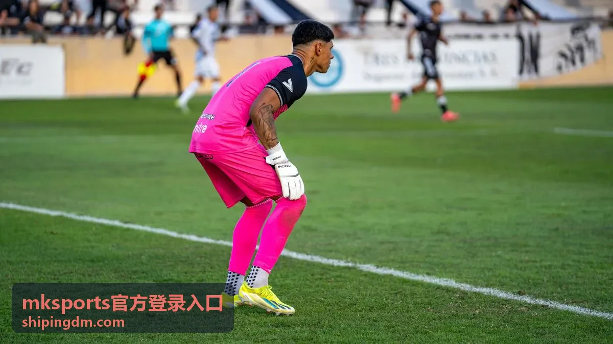 mksports官方登录入口平台操作指南封面示意
