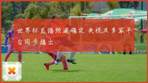 世界杯直播频道确定 央视及多家平台同步播出