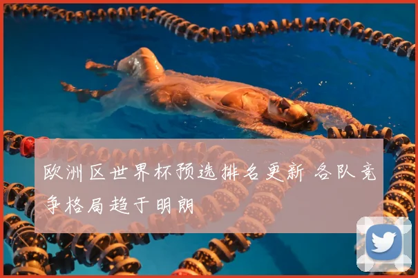欧洲区世界杯预选排名更新 各队竞争格局趋于明朗