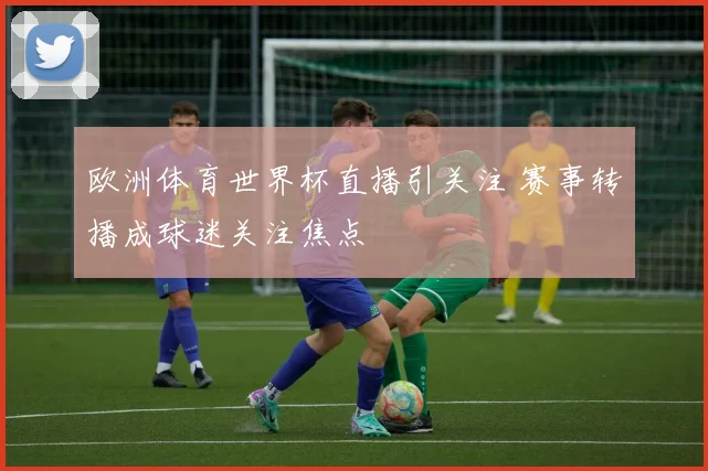 欧洲体育世界杯直播引关注 赛事转播成球迷关注焦点